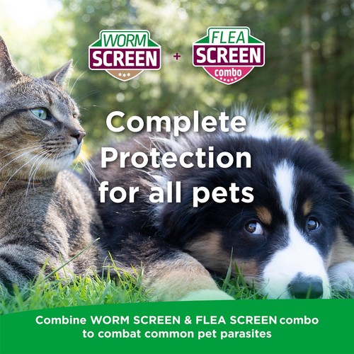 WORM SCREEN Cat: Worming Tablets for Cats & Kittens over 6 weeks old. (AVM-GSL) - Picture 6 of 6