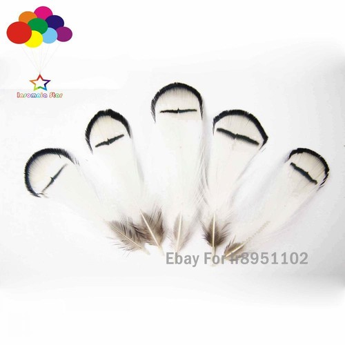 Faisán Blanco 5-10cm/2-4 pulgadas Artesanía Único Colorido Estampado Plumas Reales - Imagen 2 de 6