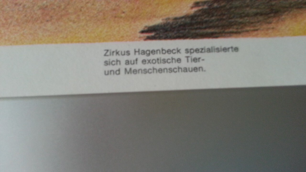 Bild 7 von 17