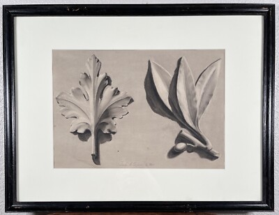 Antique Architectural Foliage Drawing 19th Century Beaux Arts Scandinavian #1