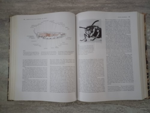 Biology, Ritchie/Carola, 1979, Addison-Wesley Publishing Co., Inc., pre-owned - Picture 9 of 13