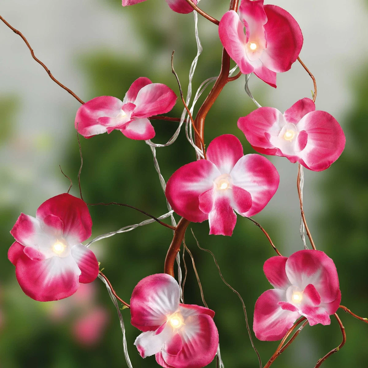 Led Orchidee online kaufen | eBay.de