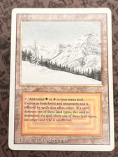 ヤ*キ様 Taiga MTG 30th edition MTG Taiga BGS 10 Black Label 30th Anniversary #278 POP 1 Magic the