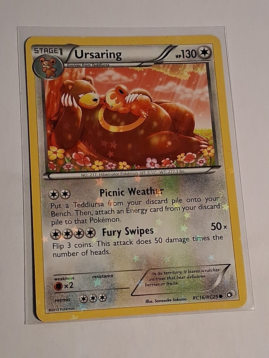 Ursaring RC16/RC25 Radiant Collection  Legendary Treasures Pokemon Card NM Holo