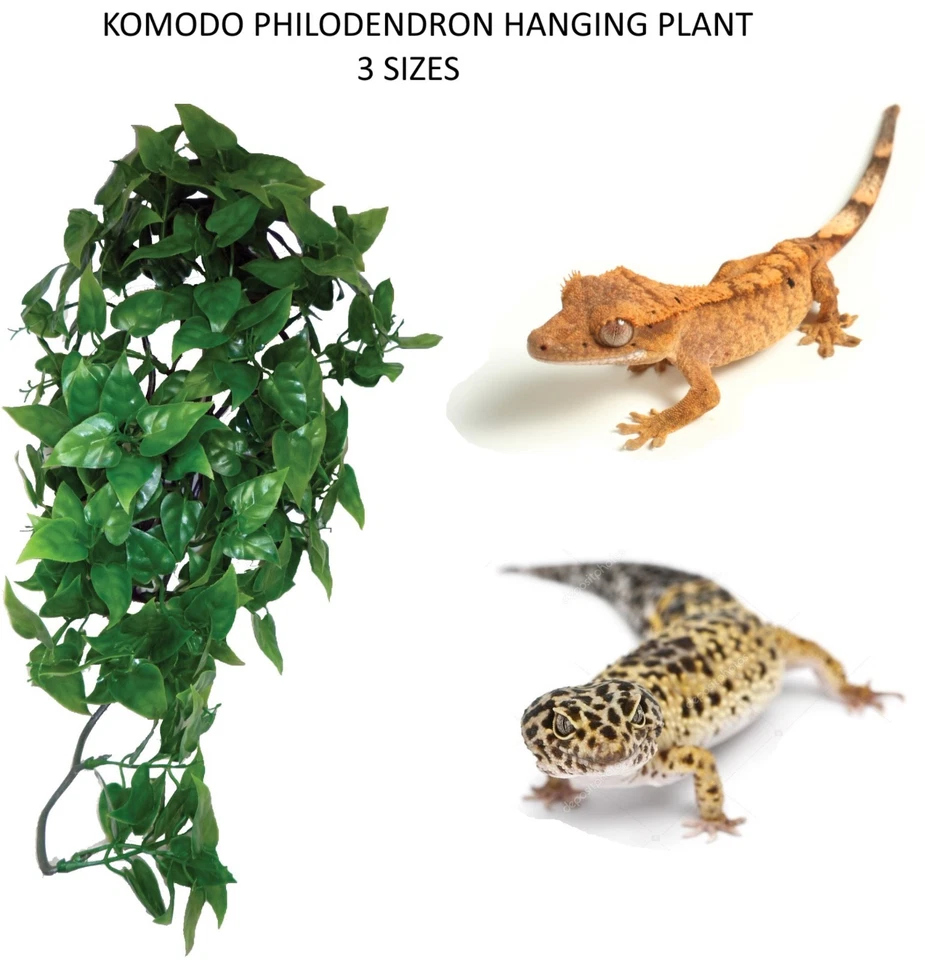 KOMODO REPTILE PHILODENDRON HANGING PLASTIC VINE PLANT VIVARIUM DECORATION SIZES