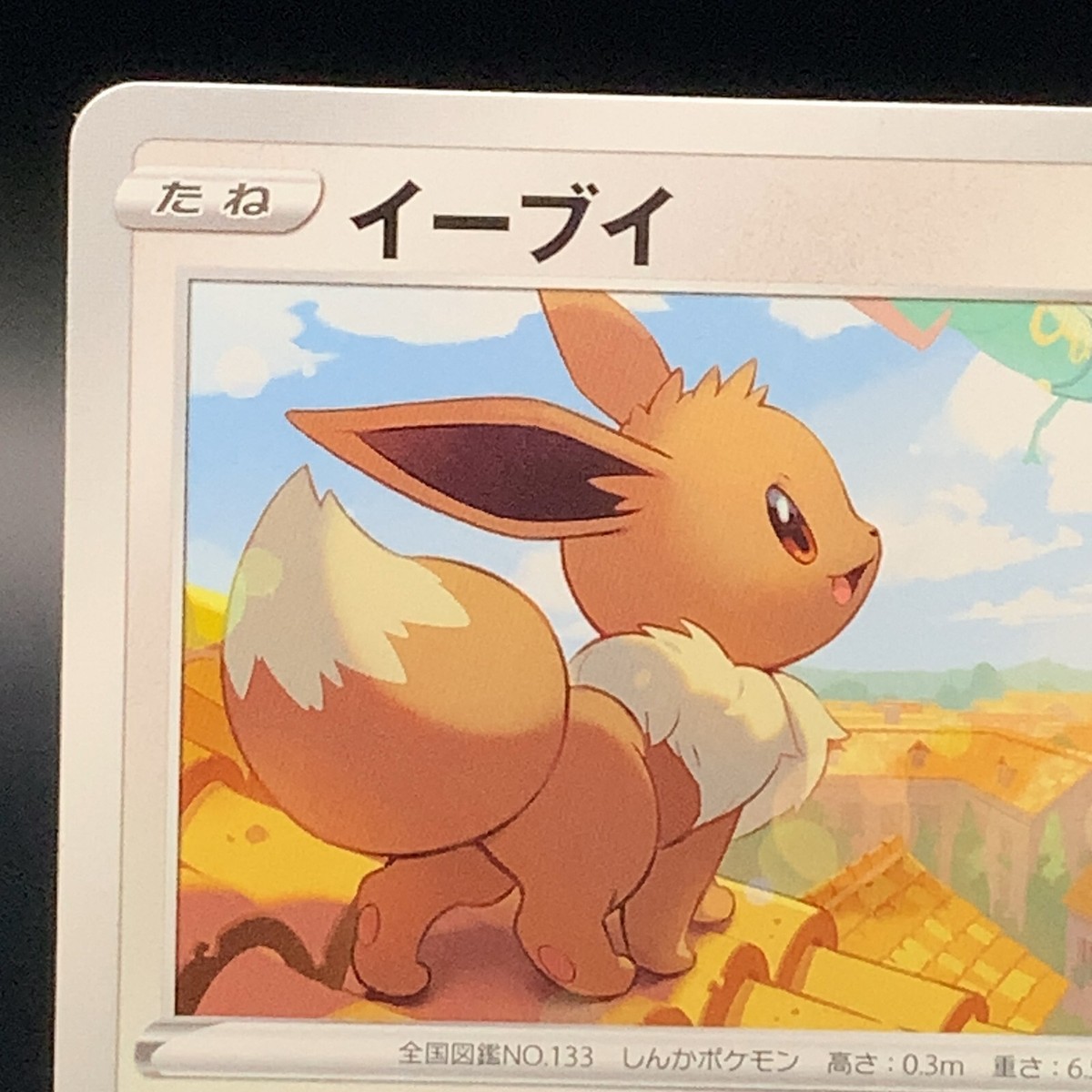 Eevee S6a 058/069 Pokemon Card TCG Japanese Special Japan Nintendo
