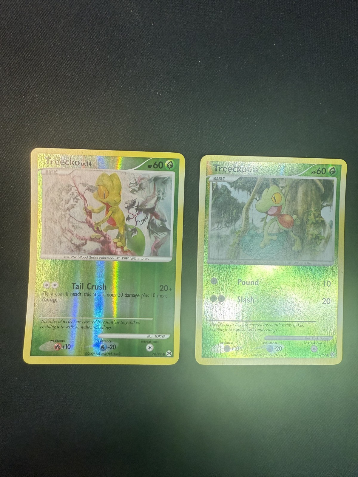 Treecko 78/99 and 79/99 Arceus Reverse Holo - Mint - 2pcs
