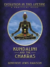Kundalini & the Chakras: Evolution in this Lifetime (Llewellyn's new age  - GOOD