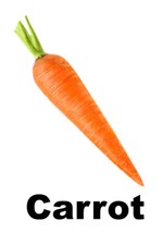 Vegetable Flash Cards Set Educational Learning Toys for Kids toddlers 2024