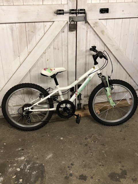 apollo xc26s ladies mountain bike