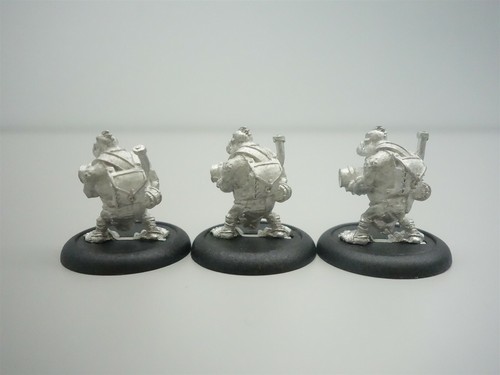 Hordes: Trollbloods - Pyg Burrowers (10) (Prensa privada, metal) - Imagen 4 de 8