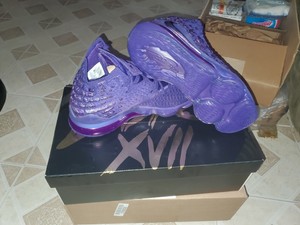 lebron 17 2k purple
