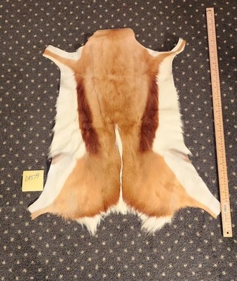Western Goat Hide/Rug/Wall Hanging Lot 04579