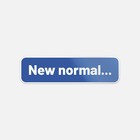 New Normal Quote Car Bumper Vinyl Sticker Decal ''SIZES''