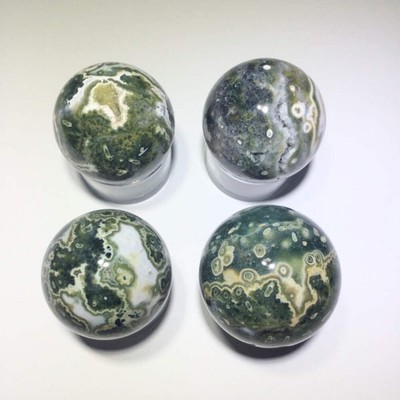 ::OCEAN JASPER::