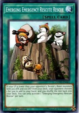 Yu-Gi-Oh TCG Emerging Emergency Rescute Rescue COTD-EN061 1st Edition Common NM