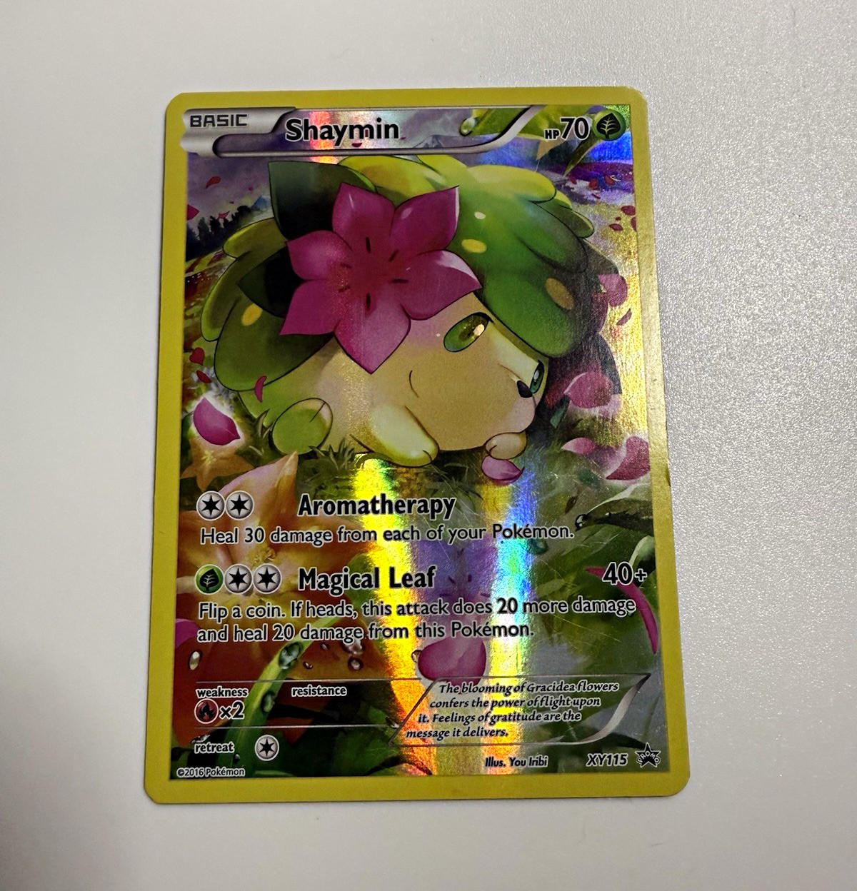 Shaymin Holo Promo XY115 XY Pokémon TCG Card English 2016 70 HP