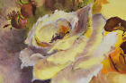 Bild 3 von 7