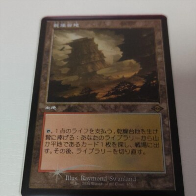 MTG 乾燥台地 ロシア語foil MTG 乾燥台地 ロシア語foil