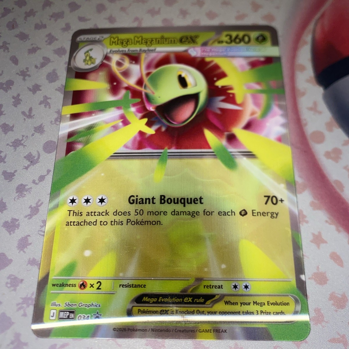 Mega Meganium ex 034 Jumbo Cards Holo | eBay