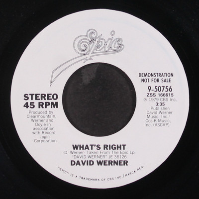 DAVID WERNER: what's right / same EPIC 7'' Single 45 RPM