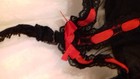 Bild 6 von 6
