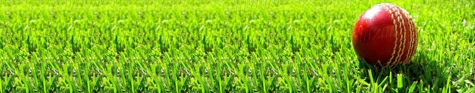 Signed Aaron Finch Cricket Australia Mini Bat - Proof COA - Melbourne Renegades - image 4 of 4