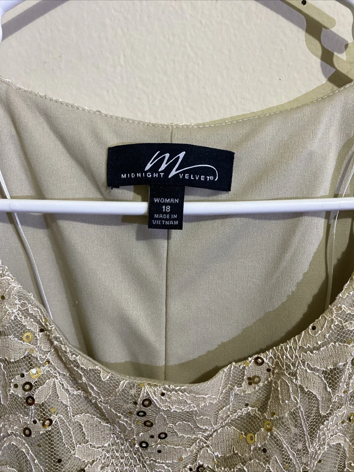 MidnightVelvet Tan With Gold Embellishment Lace Formal Dress Size 18 - Image 3 of 4