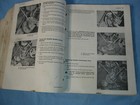 Picture 11 of 12