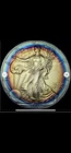 2015 American Silver Eagle Toned