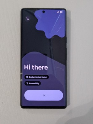 Google Pixel 6 Pro - 128 GB - Stormy Black (Unlocked)