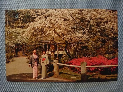 alte Ansichtskarte Postkarte AK Japanese Tea Garden San Francisco Kirschblüte