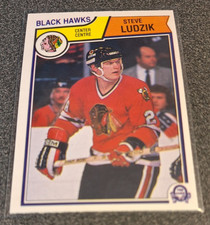 1983-84 O-Pee-Chee - Steve Ludzik #106 (RC)