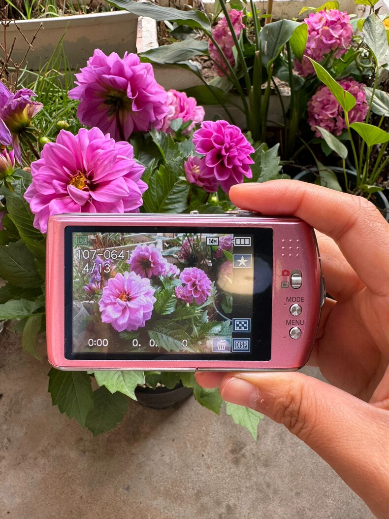 Panasonic DMC-FX70 ピンク Panasonic Lumix DMC-FX70 Pink Compact Digital Camera