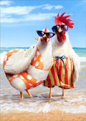 AVANTI PRESS Chicken Couple on Beach Humorous Funny Wedding Anniversary Card for Couple