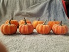 Picture 24 of 24