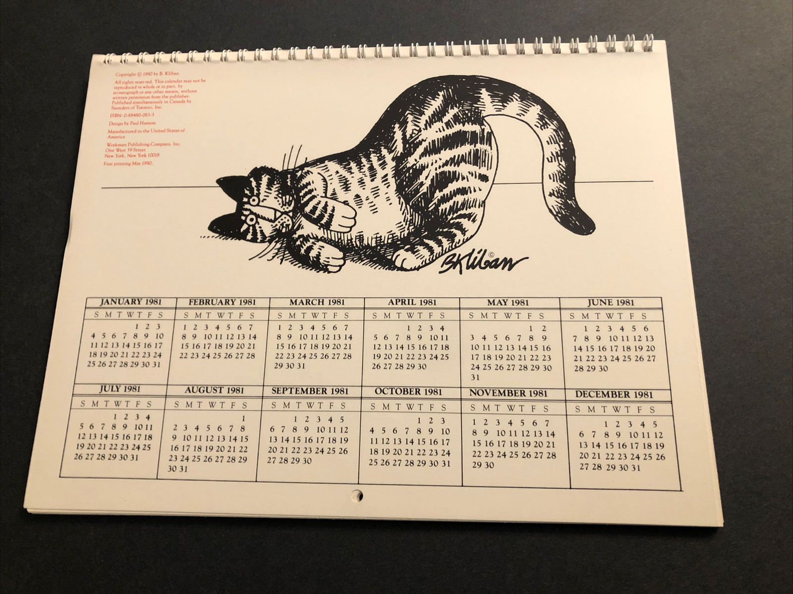Vintage Cat Calendar 1981 | eBay
