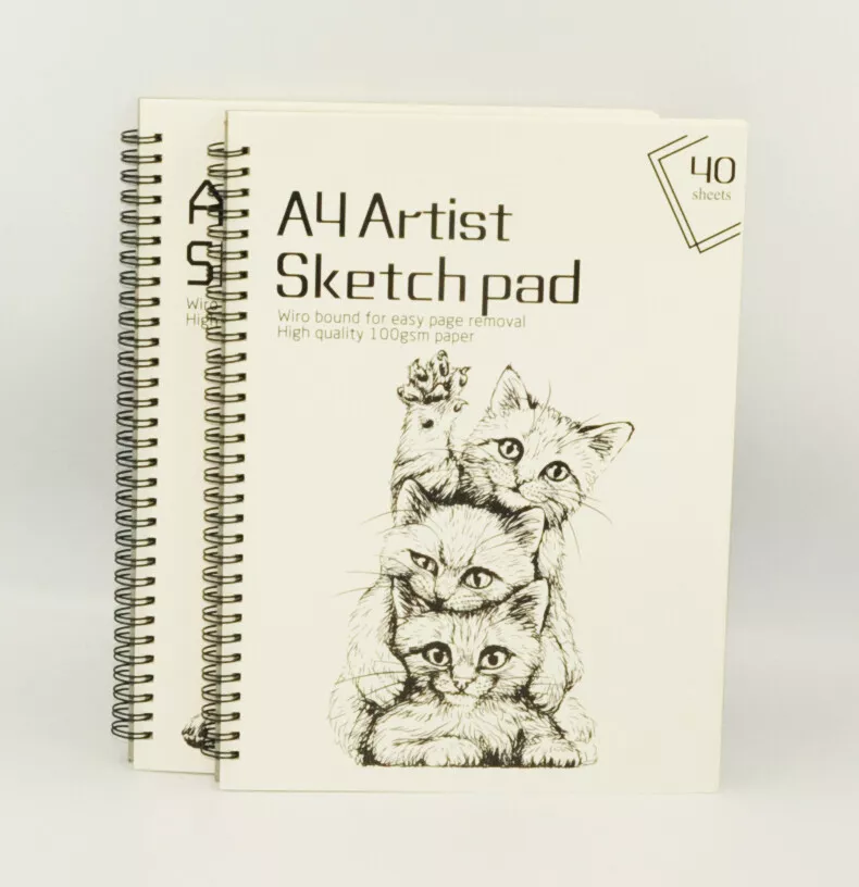 2 X Artist Sketch Book Drawing Pad Spiral Bound White Paper A4 Art