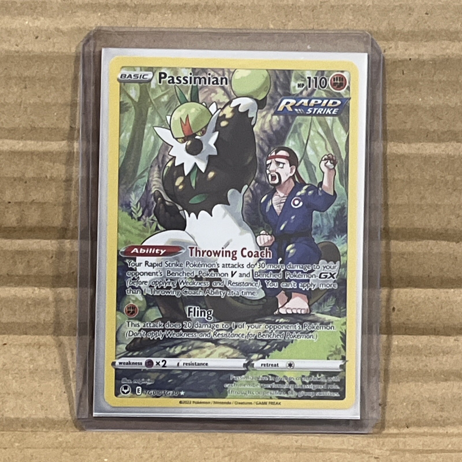 Passimian Full Art - TG08/TG30 Silver Tempest Trainer Gallery - Pokemon Mint/NM