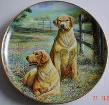 Lovely Franklin Mint Labrador Collectors Plate GOLDEN MEADOW MORNING