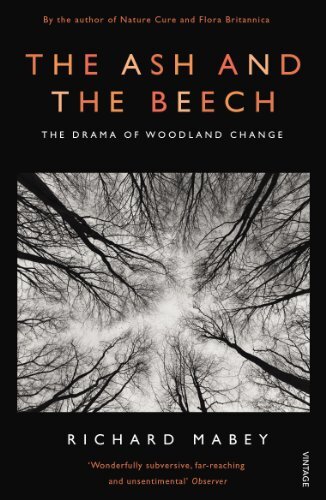 The Ash And The Beech : The Drama Of Woodland Change Richard Mabey - Image 4