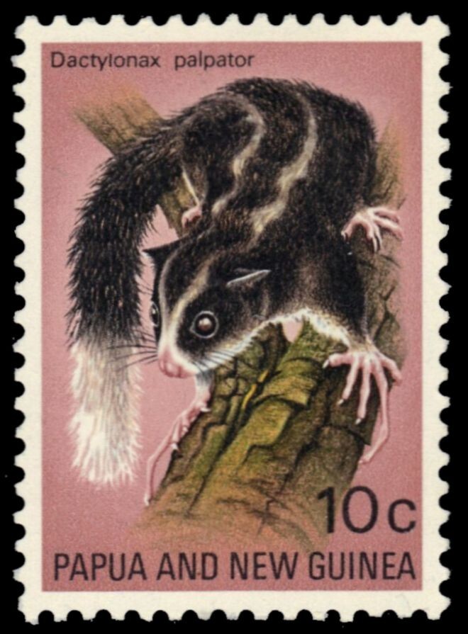 PAPUA NEW GUINEA 324 (SG196) - Striped Possum 