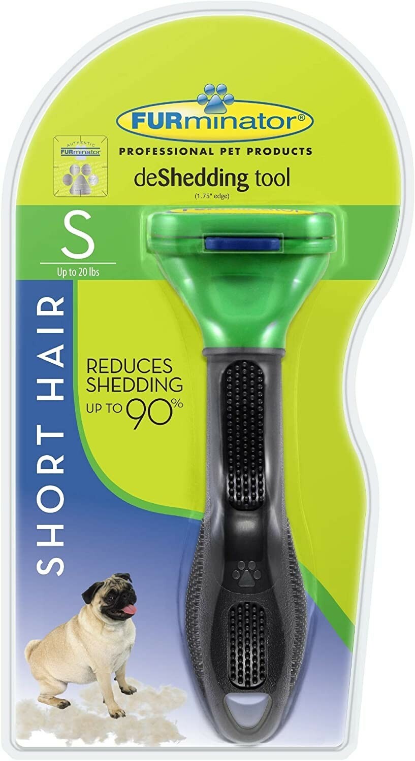 Beifall Turnier Bezeugen jack russell furminator Nebel Botanik Korrespondenz