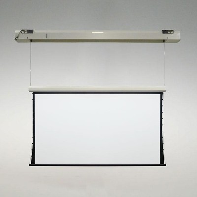 Two DA-LITE WIDE (16:10) 120'' X 192'' HD PROGRESSIVE TENSIONED LARGE COSMOPOLITAN