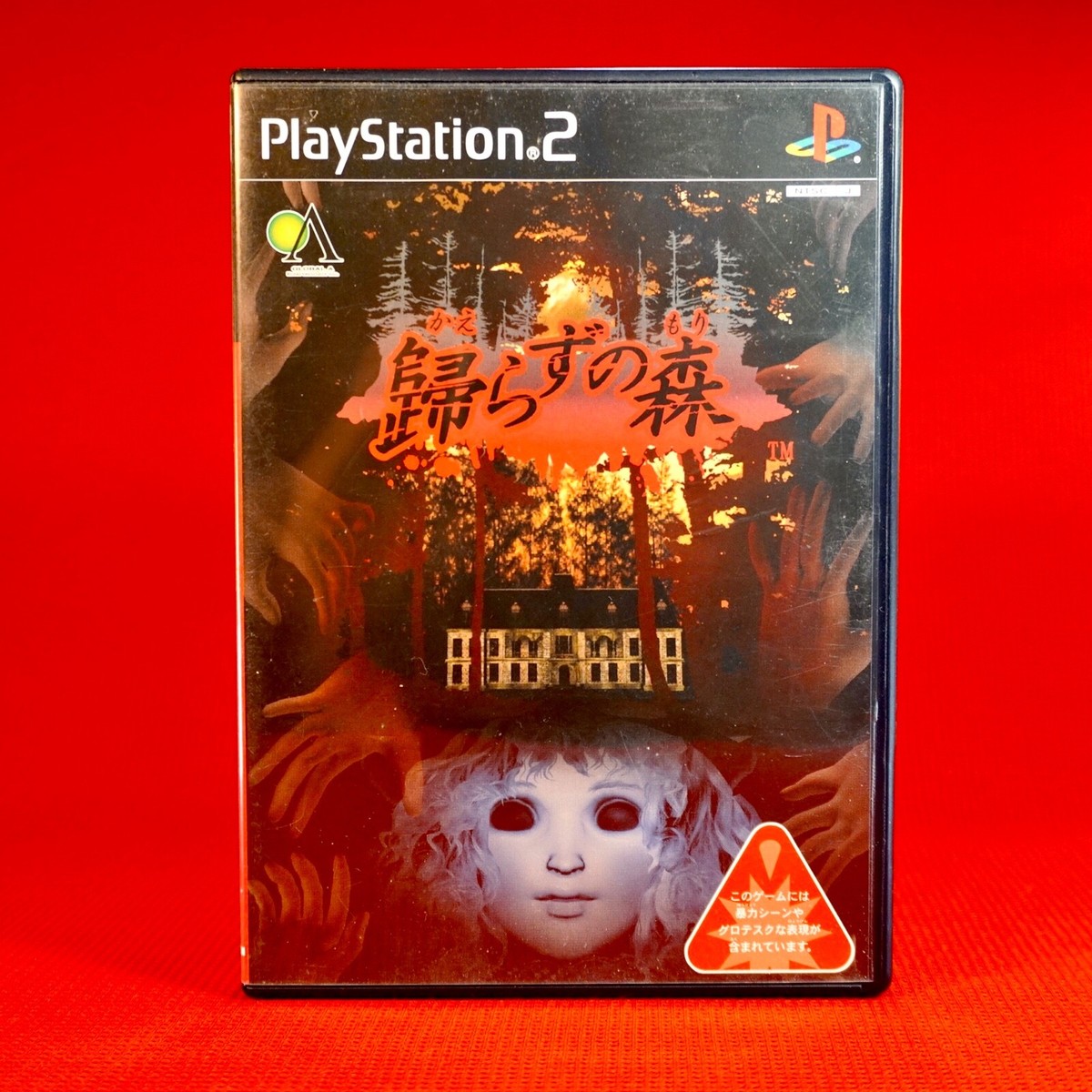 Lot 16 Horror PS2 Playstation Survival Silent Michigan Ghost