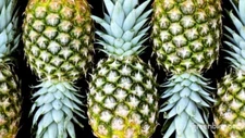 Fresh pineapple Fruit Set Of 2