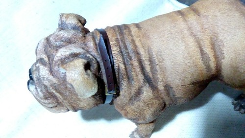 1/6 DRAGON IN DREAMS DRAGON WW II PAINTED COMPANY BULLDOG DOG - Imagen 7 de 10