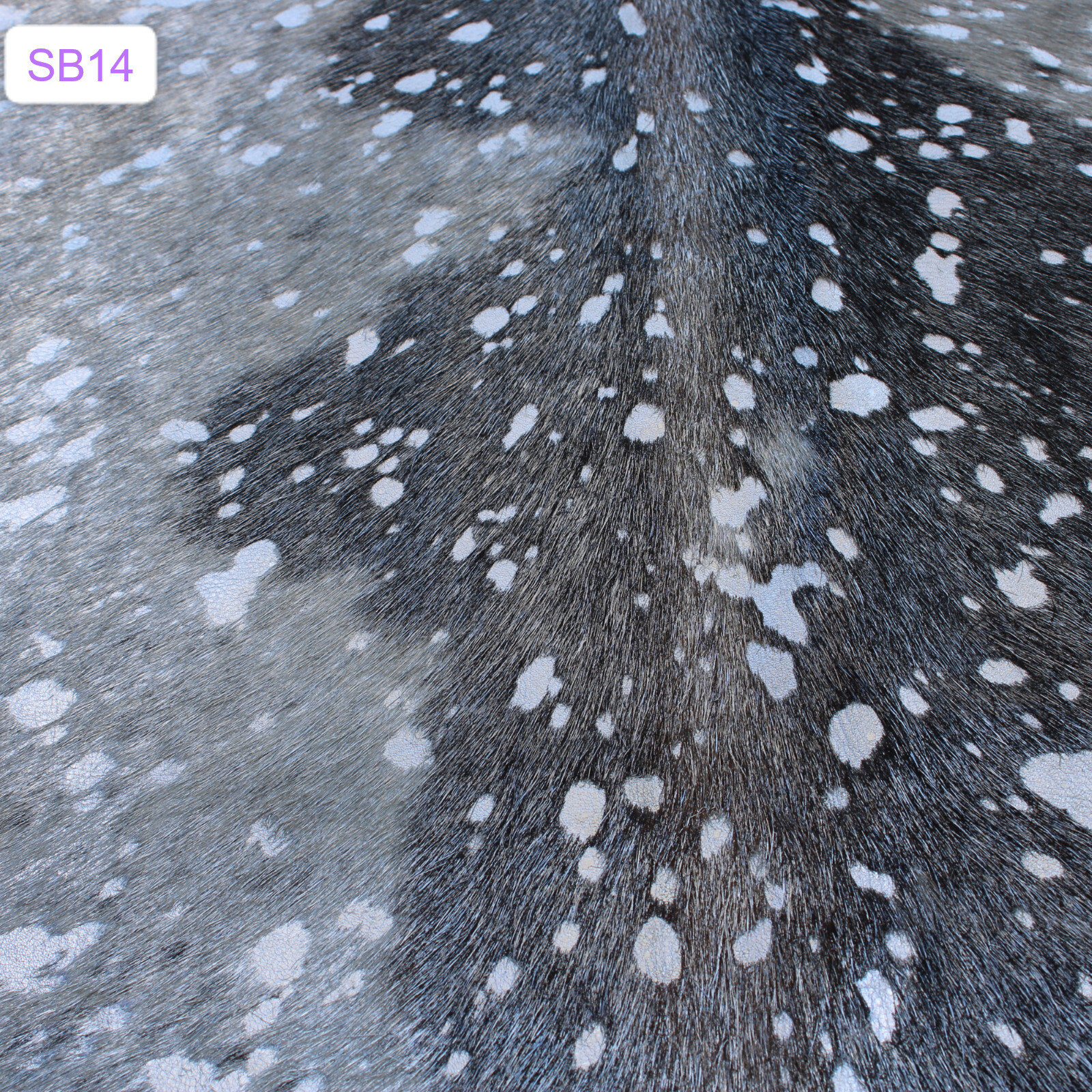 Picture 8 of 13
