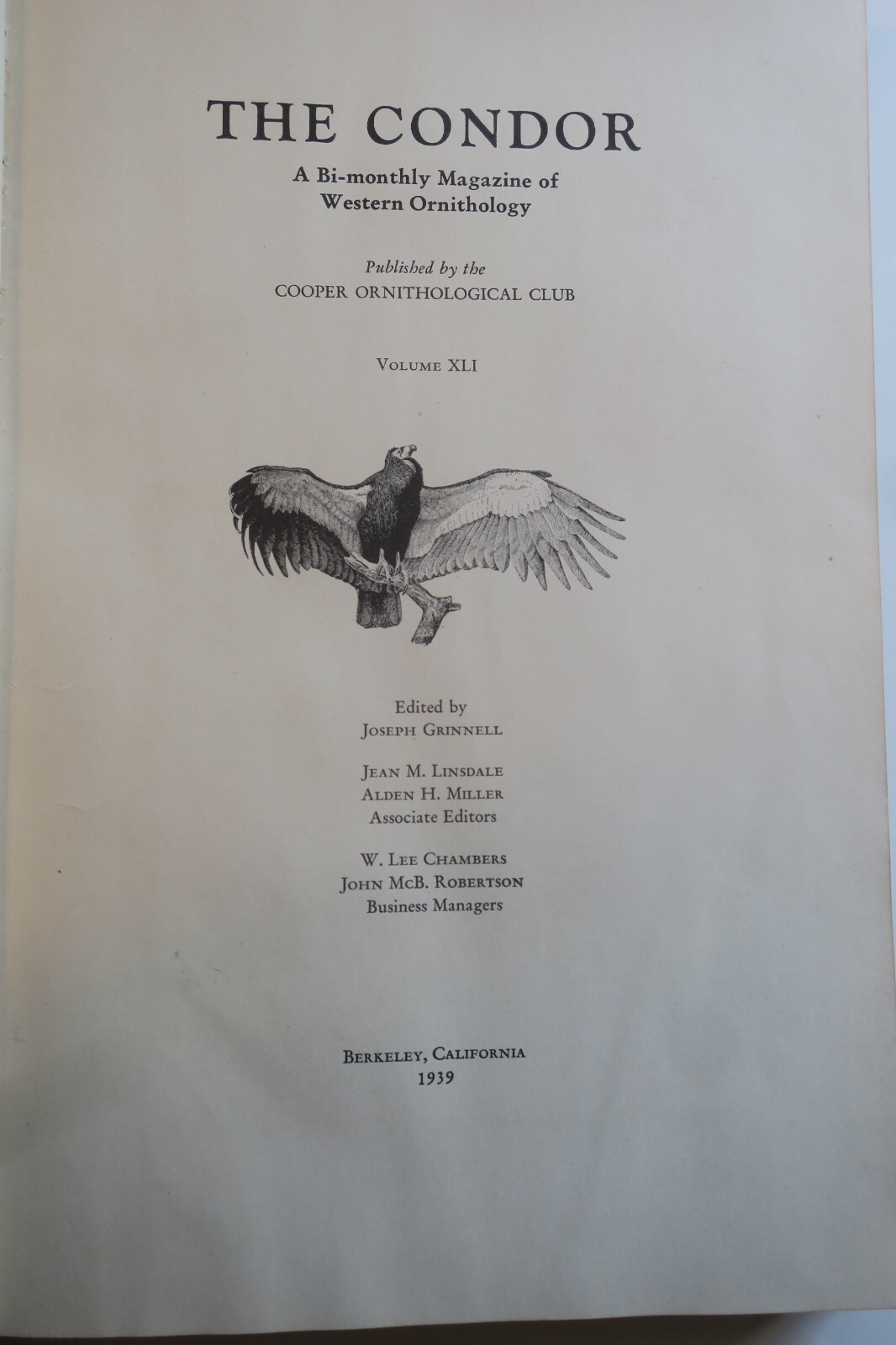 Foto 10 di 13