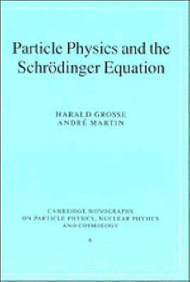 Particle Physics and the Schrödinger Equation (Cambridge Monographs on Particle